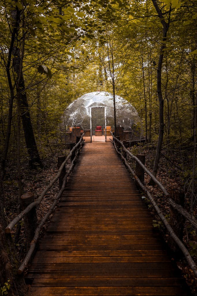 Glamping bubble on a wooden boardwalk surrounded by autumn forest. Perfect for eco-friendly travel enthusiasts.