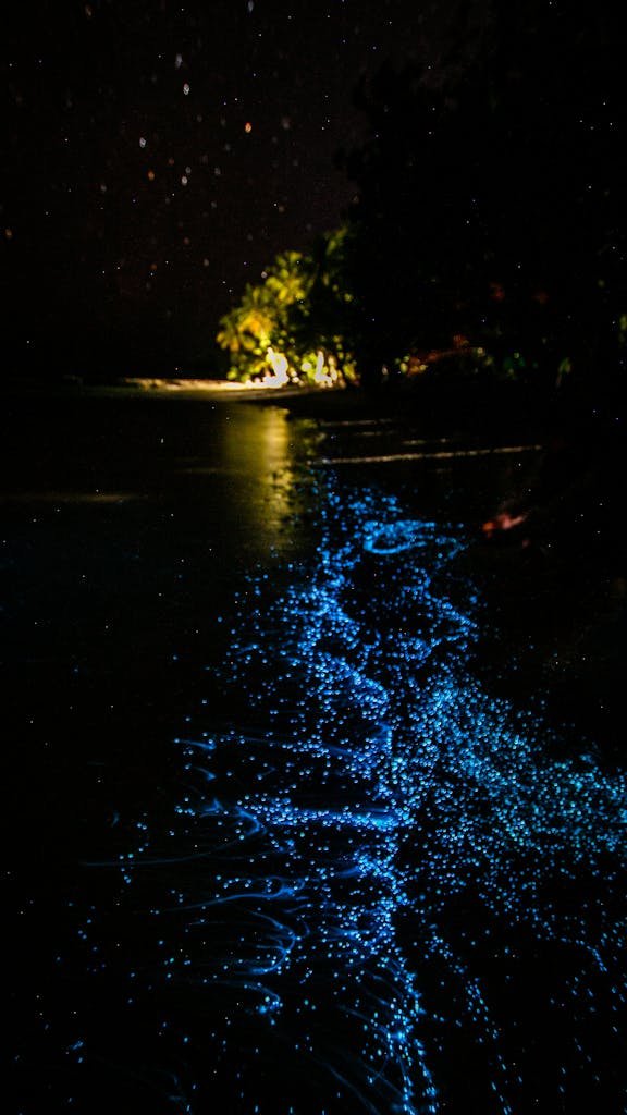 Stunning bioluminescent blue waves glow along the shore of Rasdhoo, Maldives at night.